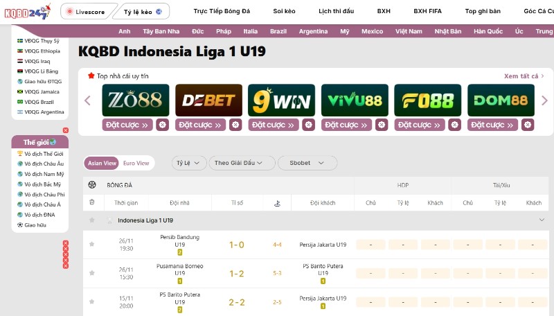 Indonesia Liga 1 U19